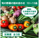 16位! 口コミ数「0件」評価「0」『定期便全3回』栽培期間中に農薬不使用の生姜200gと旬の野菜詰め合わせ10～13品目 野菜 野菜セット 詰め合わせ しょうが ショウガ 旬･･･ 