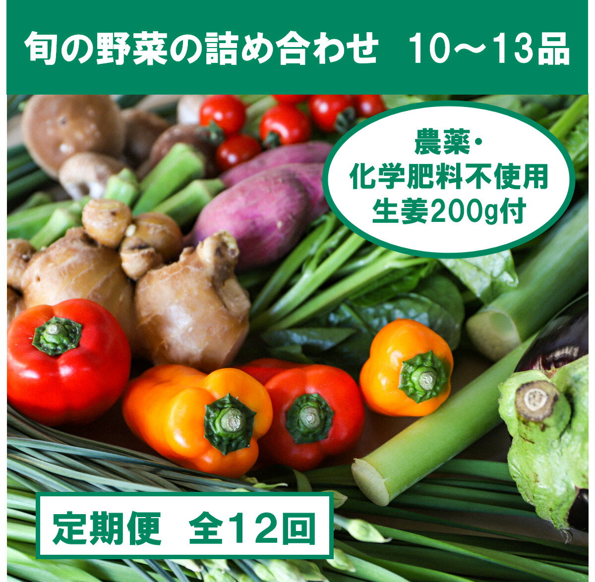 1位! 口コミ数「0件」評価「0」『定期便全12回』栽培期間中に農薬不使用の生姜200gと旬の野菜詰め合わせ10～13品目 野菜 野菜セット 詰め合わせ しょうが ショウガ ･･･ 