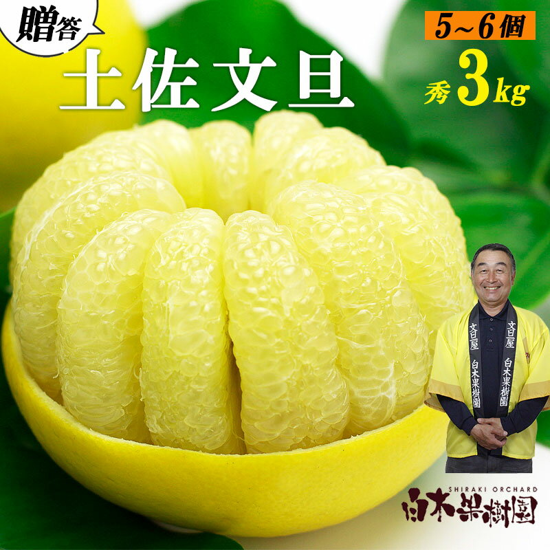[果樹園直送]土佐文旦 2L中玉6個もしくは3L大玉5個入り 特選品贈答用 果物 柑橘 フルーツ ぶんたん ブンタン 文旦 高知県土佐市 お取り寄せ 産地直送 おいしい 美味しい 返礼品 白木果樹園