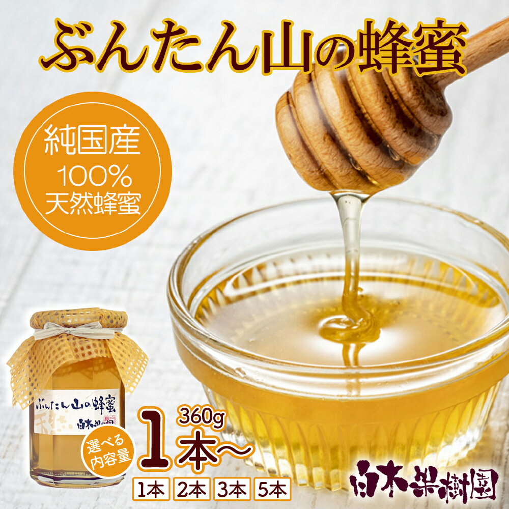 【ふるさと納税】爽やかな香り広がる100%天然蜂蜜　ぶんたん