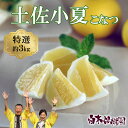 【ふるさと納税】<白木果樹園>土佐小夏 特選品贈答用 約3kg 3キロ こなつ 小夏 柑橘 かんきつ 柑橘類 フルーツ 果物 くだもの 果実 デザート おやつ ...