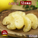 【ふるさと納税】【12月発送土佐文旦】文旦 贈答用 約3kg 中玉6個もしくは大玉5個入り ハウス文旦 温室土佐文旦 柑橘 みかん フルーツ ぶんたん ブンタン...