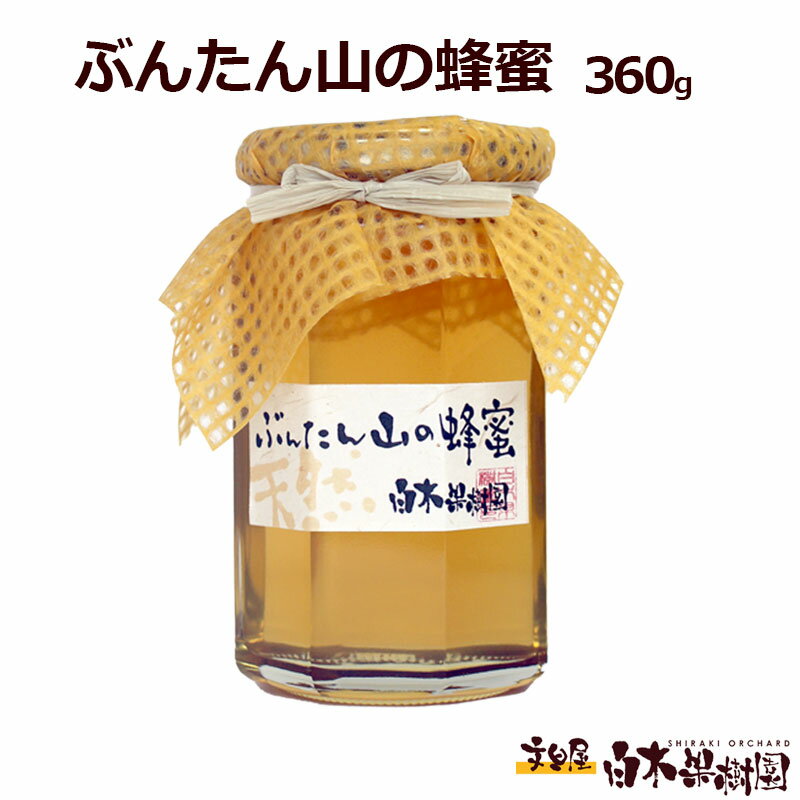 【ふるさと納税】爽やかな香り広がる100%天然蜂蜜　ぶんたん山の蜂蜜　360g　はちみつ ハチミツ 高知県産 国産 天然はちみつ 土佐 高知 白木果樹園 ふるさとのうぜい 故郷納税 高知県 11000円 返礼品