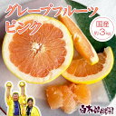 【ふるさと納税】<白木果樹園>先行予約 国産グレープフルーツ ピンク 約3kg 果物 柑橘 フルーツ みかん 高知県土佐市 お取り寄せ 産地直送 白木果樹園 常温 期間限定 高知県土佐市 お取り寄せ 産地直送 白木果樹園 ふるさとのうぜい 故郷納税 返礼品|詳細画像