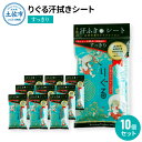 8位! 口コミ数「0件」評価「0」りぐる汗ふきシート すっきり 10個セット 天然由来繊維100％ ヒアルロン酸 爽やか 汗拭きシート ボディシート 制汗シート 10個 個包･･･ 