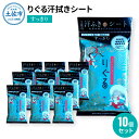 【ふるさと納税】りぐる汗ふきシート すっきり 10個セット 天然由来繊維100% ヒアルロン酸 爽やか 汗拭きシート ボディシート 制汗シート 10個 個包装 ...