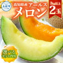 【ふるさと納税】最高級土佐アールスメロン2玉入り メロン めろん 3kg以上 白玉 赤玉 舐瓜 果物 くだもの フルーツ デザート スイーツ おやつ 高級 常温 配送 故郷納税 ふるさとのうぜい 高知県産 国産 土佐市 返礼品