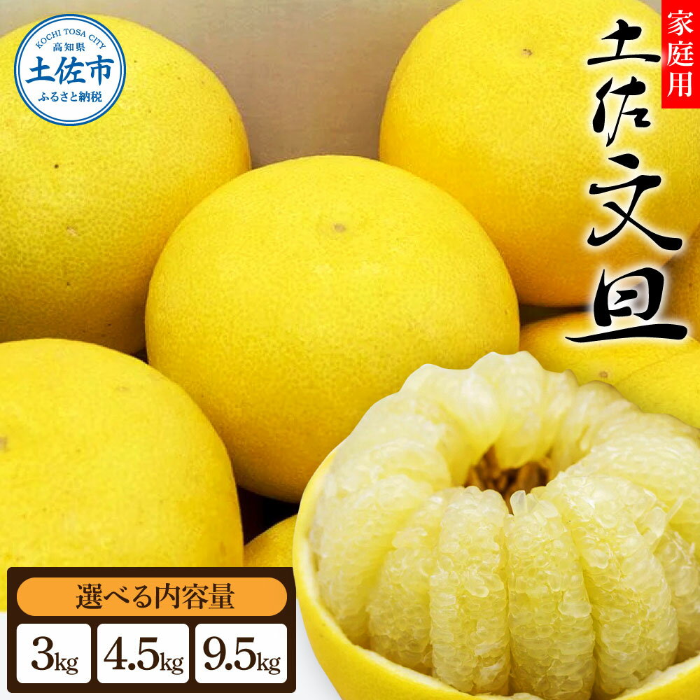 【ふるさと納税】先行予約 生産者