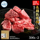 【ふるさと納税】特選 ヒレ肉サイコロステーキ 土佐あかうし 長期熟成肉 500g×2 合計1kg 田野屋銀象 完全天日塩付き ヒレ肉 ステーキ 肉 お肉 和牛 ...