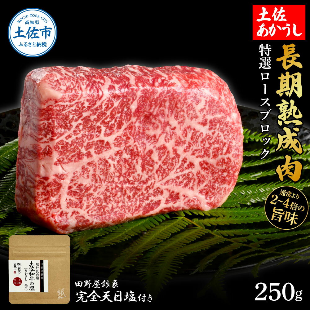 【ふるさと納税】特選 ロースブロック 土佐あかうし 長期熟成肉 250g 田野屋銀象 完全天日塩付き ロース 牛肉 ブロック 肉 お肉 和牛 国産 牛 熟成肉 ...