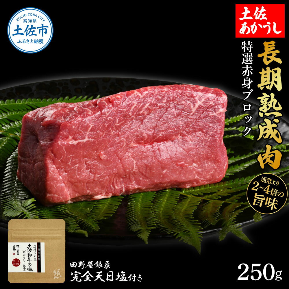 特選 赤身ブロック 土佐あかうし 長期熟成肉 250g 田野屋銀象 完全天日塩付き 赤身 牛肉 ブロック 肉 お肉 和牛 国産 牛 熟成肉 ブロック肉 豪華 贅沢[株式会社LATERAL][BQAU029]