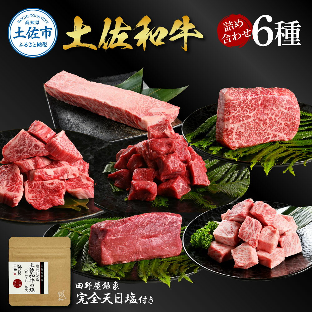 【ふるさと納税】土佐和牛詰め合わせ6種 長期熟成肉 6種 詰め合わせ セット 田野屋銀象 完全天日塩付き 牛肉 肉 お肉 和牛 国産 牛 赤身 ヒレ カルビ ロ...