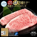 【ふるさと納税】土佐あかうし&土佐和牛2種食べ比べ 特選サーロインステーキ200g 計4枚 田野屋銀象完全天日塩2P付 牛肉 肉 お肉 和牛 国産 牛 赤身 ヒ...