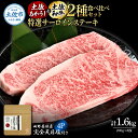 【ふるさと納税】土佐あかうし&土佐和牛2種食べ比べ 特選サーロインステーキ200g 計8枚 田野屋銀象完全天日塩4P付 牛肉 肉 お肉 和牛 国産 牛 赤身 ヒ...