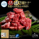 【ふるさと納税】土佐あかうし&土佐和牛2種食べ比べ 特選スネ肉煮込み角切り500g 計2P 田野屋銀象完全天日塩2P付 牛肉 肉 お肉 和牛 国産 牛 赤身 ヒレ カルビ ロース ブロック サーロイン スネ肉 熟成肉 豪華 贅沢 真空パック 冷凍配送 新鮮 故郷納税 高知県 土佐市