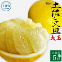 【ふるさと納税】<2026年1月下旬より順次発送>土佐文旦 家庭用 約5キロ(2L~4Lサイズ混合:8玉~12玉) 大玉 先行予約 数量限定 文旦 ぶんたん ブンタン 土佐文旦 柑橘 フルーツ 果物 ご当地 お取り寄せ 土佐 高知 ふるさとのうぜい 故郷納税 高知県 10000円 土佐市