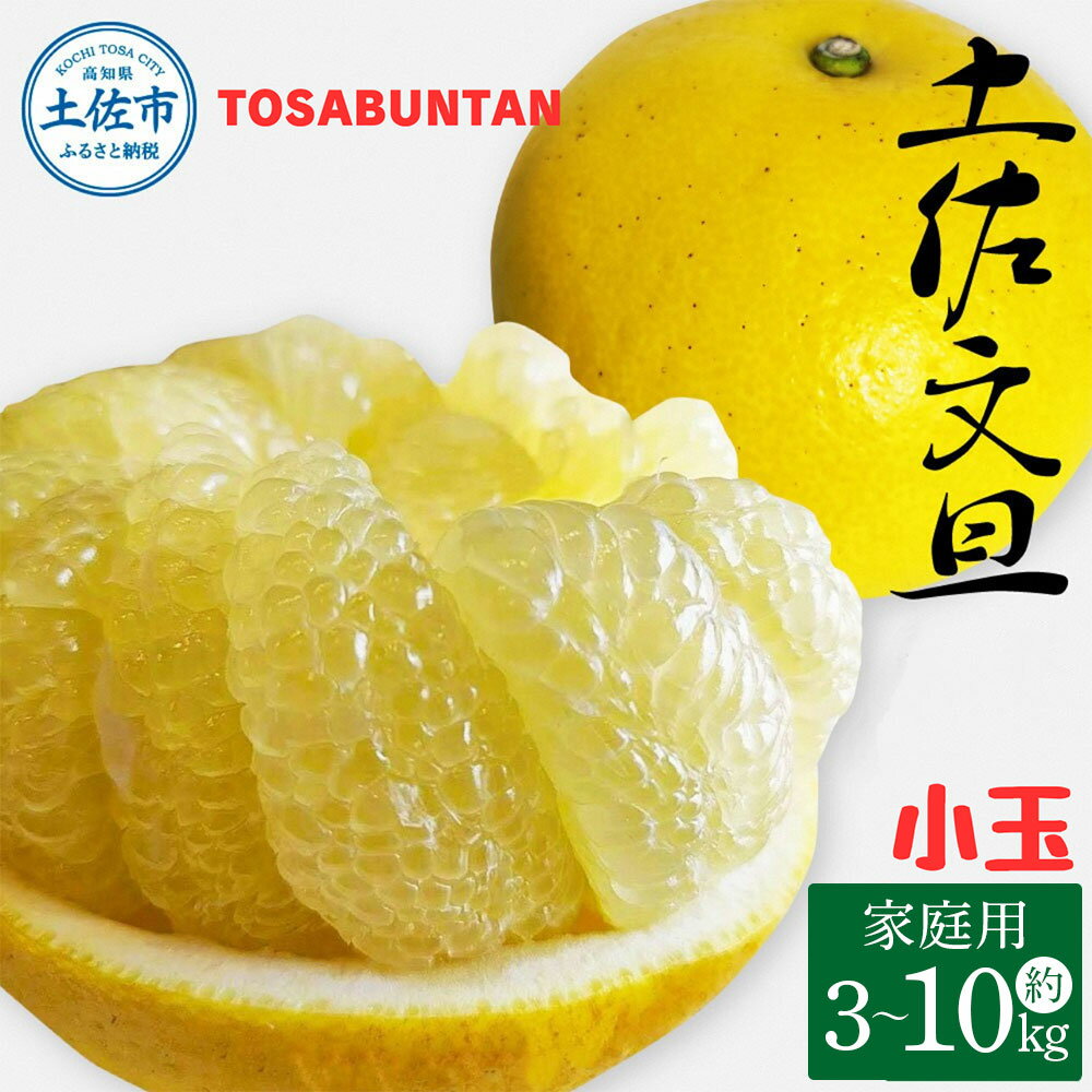 [2026年1月下旬より順次発送]土佐文旦 小玉 家庭用 3~10kg M~Lサイズ 先行予約 文旦 ぶんたん ブンタン 柑橘 フルーツ デザート 果物 ご当地 人気 名産 お取り寄せ 土佐 高知 土佐市 送料無料 ふるさと納税 ふるさとのうぜい 故郷納税 高知県 6500円〜