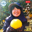 【ふるさと納税】本場、高知県土佐市産!土佐水谷農園の露地土佐文旦 家庭用10キロ 10kg 大小混合(L~上限なし:16玉前後) 訳あり 文旦 ぶんたん ブンタ...