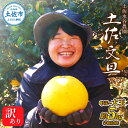 【ふるさと納税】本場高知県土佐市産 土佐水谷農園の露地土佐文旦 家庭用5キロ 5kg 中玉~大玉(3L〜上限なし:7玉前後)皮むき器付き 訳あり 文旦 ぶんたん...