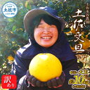 【ふるさと納税】文旦 家庭用10キロ 10kg 中玉~大玉(3L~上限なし:14玉前後)皮むき器付き 訳あり 文旦 ぶんたん ブンタン 土佐文旦 家庭用 ご自宅用 柑橘 フルーツ 果物 高知 ふるさとのうぜい 故郷納税 高知県 32000円 土佐市 本場 土佐水谷農園の露地土佐文旦