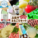 【ふるさと納税】土佐市まるごとセット 全12回 トイレットペーパー 藁焼き うつぼ 生かつお 鰹 たたき 土佐文旦 メロン しんちゃんトマト ピーマン アイス くずバー ネギトロ かつおめし 日本酒 定期便 果物 野菜 海鮮 日用品 ふるさとのうぜい 故郷納税 高知県 高知 土佐市