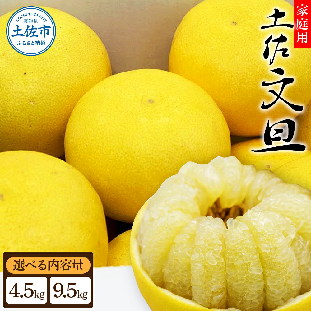 【ふるさと納税】先行予約 生産者直送 土佐文旦【サイズ混合2L～4L】選べる 4.5kg/9.5kg 【2025年2月上旬より発送】 家庭用 文旦 柑橘 みかん フルーツ ぶんたん ブンタン 果物 産地直送 お取…