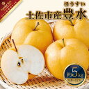 【ふるさと納税】高知県土佐市産 梨(豊水)約5kg 10〜12玉 期間限定 ほうすい なし ナシ 5キロ 国産 フルーツ 果物 くだもの デザート スイーツ 旬...