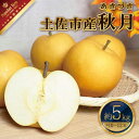 【ふるさと納税】高知県土佐市産 梨(秋月)約5kg 10〜12玉 期間限定 あきづき なし ナシ 5キロ 国産 フルーツ 果物 くだもの デザート スイーツ 旬...