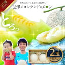 【ふるさと納税】先行予約 メロン 2玉入り(1玉約1.4kg~1.8kg)青肉 2025年冬発送 期間限定 メロン めろん マスクメロン 舐瓜 果物 くだもの フルーツ デザート 旬 ハウス栽培 常温配送 故郷納税 ふるさとのうぜい 高知県産 国産 土佐市 返礼品