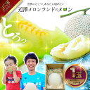 【ふるさと納税】先行予約 メロン 1玉入(約1.4kg~1.8kg)青肉 2026年春発送 期間限定 メロン めろん マスクメロン 舐瓜 果物 くだもの フルーツ デザート 旬 ハウス栽培 常温配送 故郷納税 ふるさとのうぜい 高知県産 国産 土佐市 返礼品