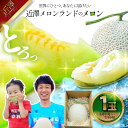 【ふるさと納税】先行予約 メロン 1玉入(約1.4kg~1.8kg)青肉 2026年夏発送 期間限定 メロン めろん マスクメロン 舐瓜 果物 くだもの フルーツ デザート 旬 ハウス栽培 常温配送 故郷納税 ふるさとのうぜい 高知県産 国産 土佐市 返礼品