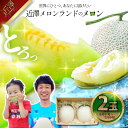 【ふるさと納税】先行予約 メロン 2玉入り(1玉約1.4kg~1.8kg)青肉 2026年夏発送 期間限定 メロン めろん マスクメロン 舐瓜 果物 くだもの フルーツ デザート 旬 ハウス栽培 常温配送 故郷納税 ふるさとのうぜい 高知県産 国産 土佐市 返礼品