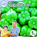 【ふるさと納税】高知県産 植田ファームのこだわりピーマン 1kg ピーマン 新鮮野菜 サラダ 野菜 おかず 詰め合わせ 絶品 お取り寄せ 美味しい 料理 おうちごはん 新鮮 大容量 消費 国産 日本産…