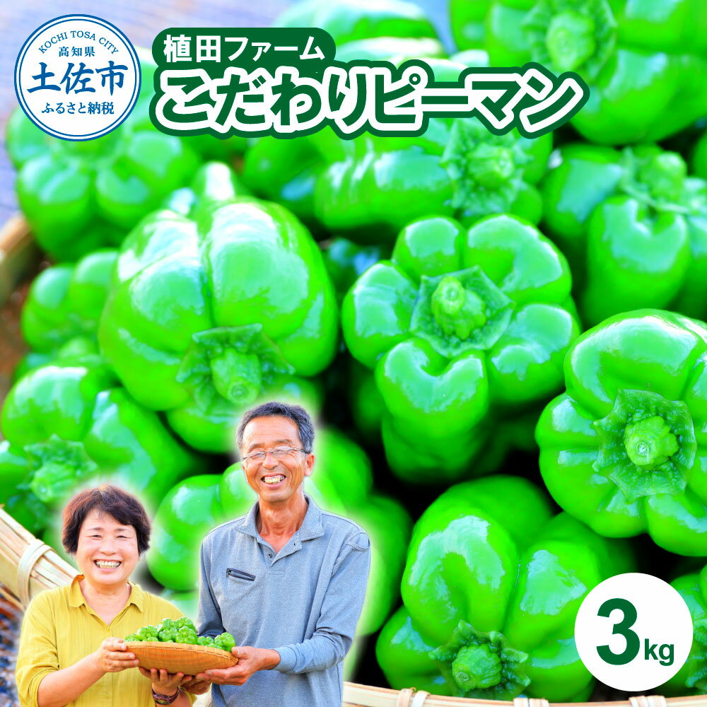 43位! 口コミ数「2件」評価「5」高知県産 植田ファームのこだわりピーマン 3kg ピーマン 新鮮野菜 サラダ 野菜 おかず 詰め合わせ 絶品 お取り寄せ 美味しい 料理 お･･･ 