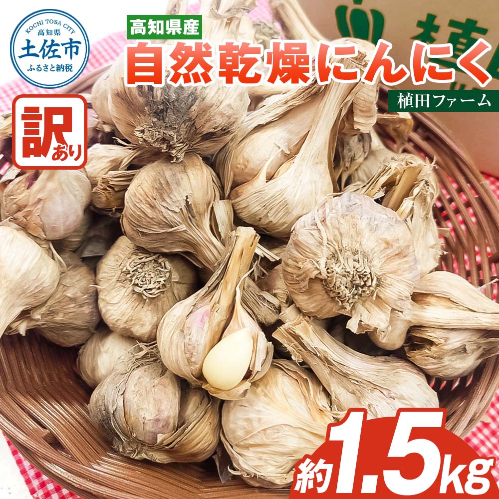 訳あり にんにく 約1.5kg 乾燥 ニンニク にんにく 訳アリ わけアリ 不揃い 型崩れ 自然乾燥 大量 大容量 常温 配送 数量限定 高知県産 美味しい おいしい ふるさとのうぜい 故郷納税 6000円 返礼品 高知県 土佐市