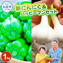 【ふるさと納税】新にんにく&ハッピーマンセット 約1キロ 約1kg ニンニク 新ニンニク ピーマン 野菜 やさい おかず 副菜 お弁当 新鮮 おいしい 採れたて 国産 お取り寄せ 常温 冷蔵 高知県 高知 土佐市 ふるさとのうぜい 故郷納税 返礼品