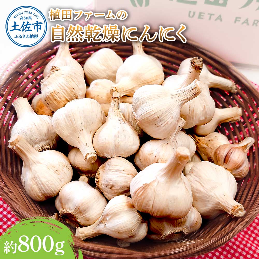 植田ファームの自然乾燥にんにく800g 800グラム ニンニク ガーリック おつまみ お酒 料理 醤油漬け ガーリックオイル ペペロンチーノ パスタ スパゲッティ ステーキ 無農薬 美味しい 常温 冷蔵 配送 高知県 高知 土佐市 ふるさとのうぜい 故郷納税 返礼品
