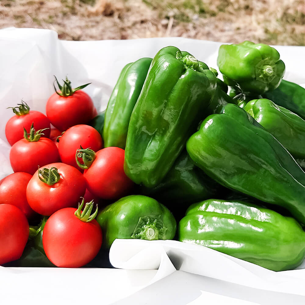 【ふるさと納税】ハッピーマン＆完熟トマトセット＆ズッキーニ 選べる内容量 1kgセット 2kgセット 1キロセット 2キロセット ピーマン とまと 野菜 やさい おかず 副菜 新鮮 おいしい 採れたて 国産 お取り寄せ 常温 高知県 高知 土佐市 ふるさとのうぜい 故郷納税 返礼品