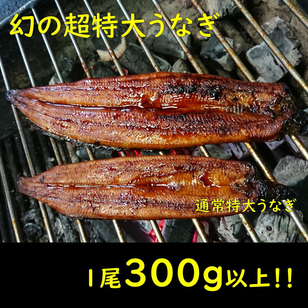 【ふるさと納税】幻の超特大うなぎ2尾セット【数量限定！】 鰻 うなぎ 仁淀川 肉厚 タレ付き スタミナ 疲労回復 ウナギ お取り寄せグルメ 高知 鰻蒲焼き 故郷納税 ふるさとのうぜい 返礼品 高知県 高知 20000円 国産のサムネイル