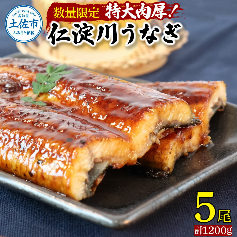 12位! 口コミ数「0件」評価「0」仁淀川特大肉厚うなぎ5尾セット【数量限定】 鰻 うなぎ 仁淀川 四万十 肉厚 スタミナ 疲労回復 ウナギ お取り寄せグルメ 高知 鰻蒲焼き ･･･ 