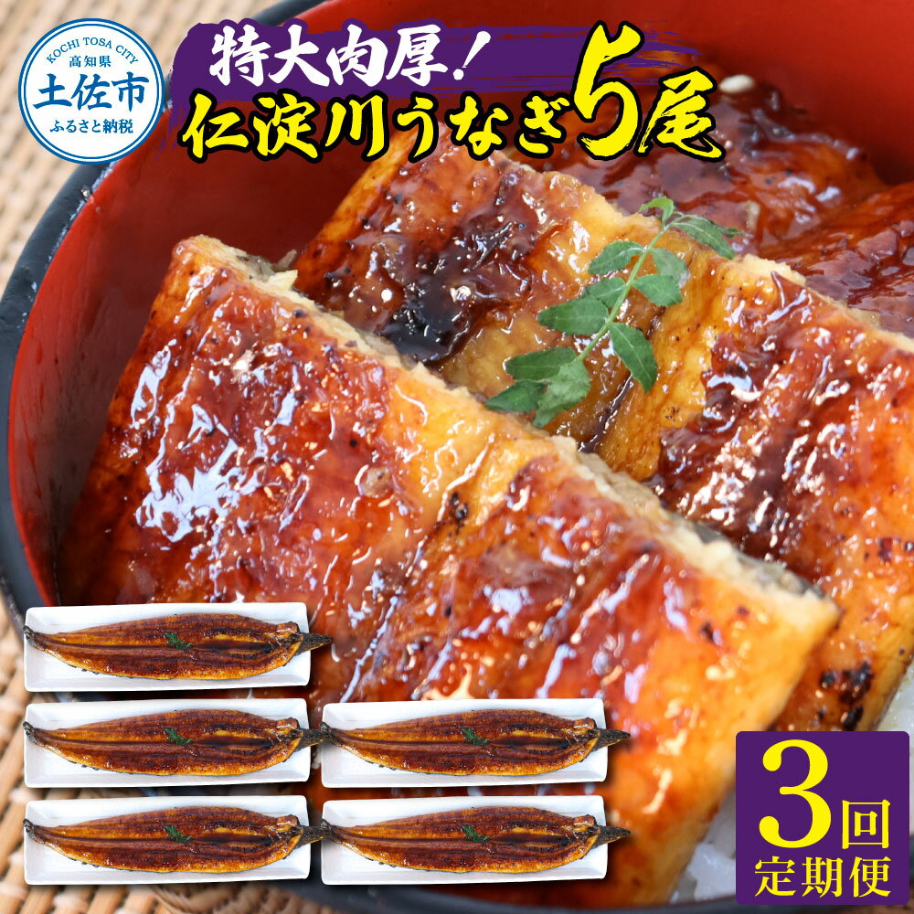 【ふるさと納税】<3回定期便> うなぎ 国産 特大 仁淀川特大肉厚うなぎ5尾セット 定期コース 3ヶ月 タレ付き 鰻 ウナギ 蒲焼き かば焼き 特大サイズ 1尾...