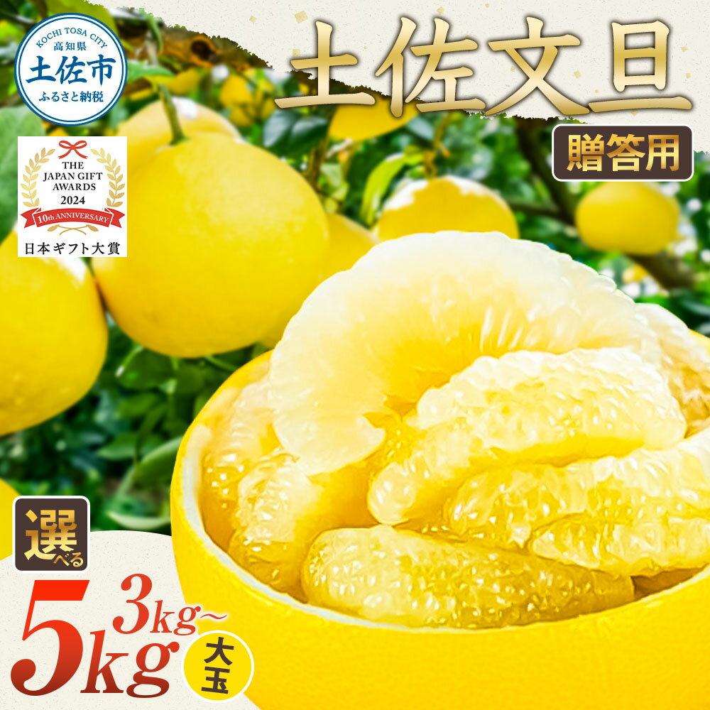【ふるさと納税】【先行予約】文旦 大玉 選べる 3キロ 5キロ 2026年1月下旬より順次発送 ぶんたん 化粧箱贈答用 日本ギフト大賞2024受賞 厳選 フルーツ ブンタン 柑橘 果物 贈答 ギフト 土佐 高知 ふるさと納税 春 旬 故郷納税 高知県 土佐市