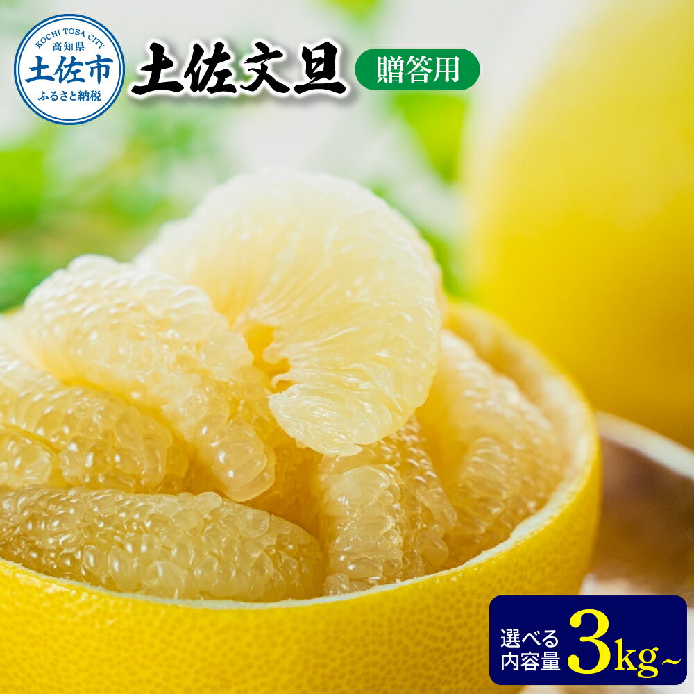 【ふるさと納税】文旦 贈答用 選べる内容量 3kg or 5kg ぶんたん ブンタン 温室土佐文旦 土佐文旦 柑橘 フルーツ 果物 くだもの みかん 3キロ 5...