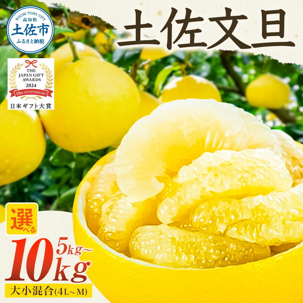 【ふるさと納税】先行予約 文旦 選べる 内容量 5kg～ 大小混合（4L～Mサイズ）ぶんたん ブンタン 日本ギフト大賞2024受賞 フルーツ 果物 柑橘 みかん 家庭用 美味しい お取り寄せ 贈答用 家庭用 土佐 高知 やの一果彩 ふるさと納税 旬 11000円～ 園主こだわりの土佐文旦