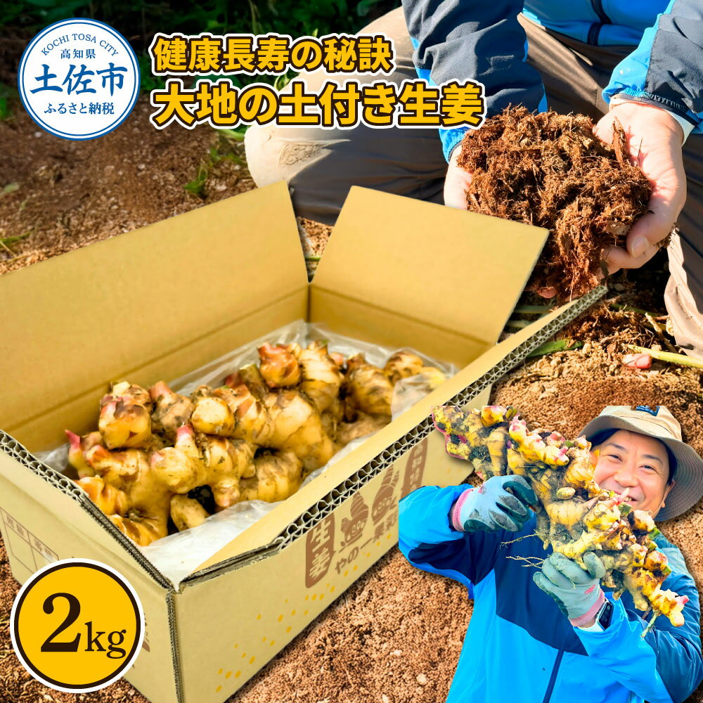 【ふるさと納税】健康長寿の秘訣 大地の土付き生姜2kg 国産 生ショウガ しょうが ショウガ ジンジャー ジンジャーエール ショウガシロップ 生姜焼き 薬味 野...