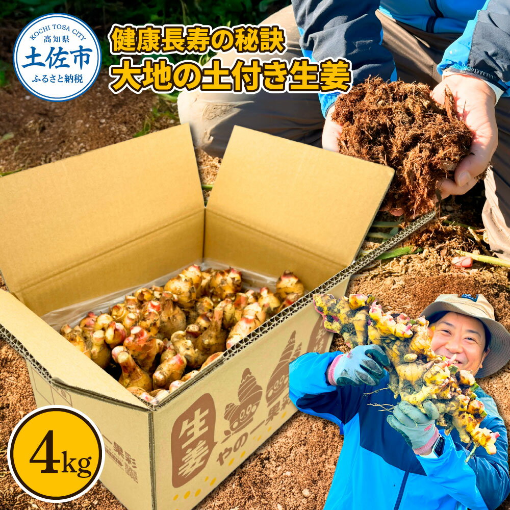 ڤդ뤵Ǽǡ۷Ĺ Ϥդժ4kg  祦 礦 祦 󥸥㡼 󥸥㡼 祦å ժƤ ̣ ...