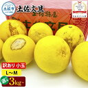 【ふるさと納税】日本ギフト大賞受賞 園主こだわり土佐文旦 訳あり(L~M)3/5/7/10kg 小玉 文旦 土佐文旦 ワケアリ ぶんたん ぼんたん フルーツ 果...