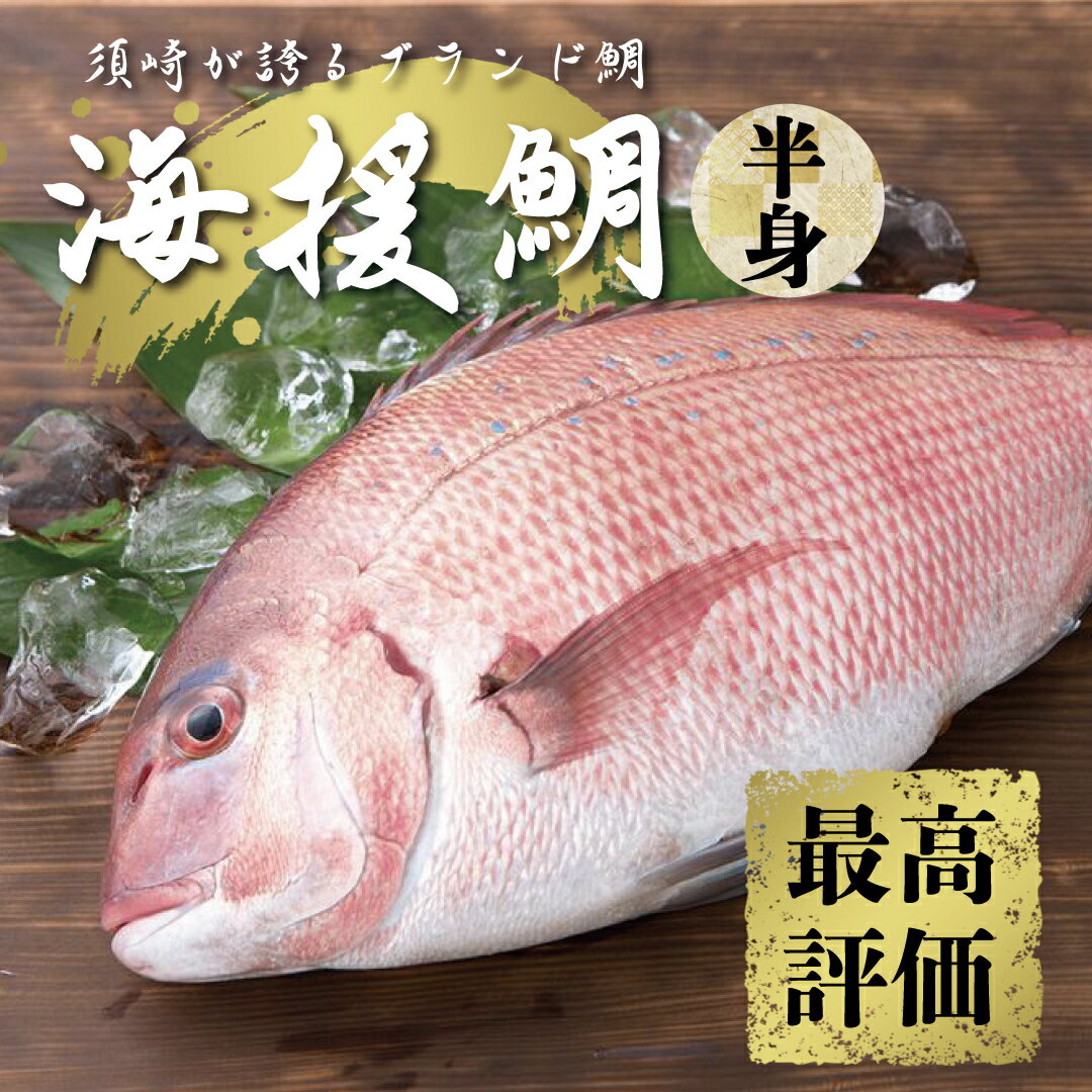 鯛 タイ 刺身 片身 鮮魚 日本最高峰評価のマダイ ブランド 海援鯛 魚 産地直送 高知県 須崎市