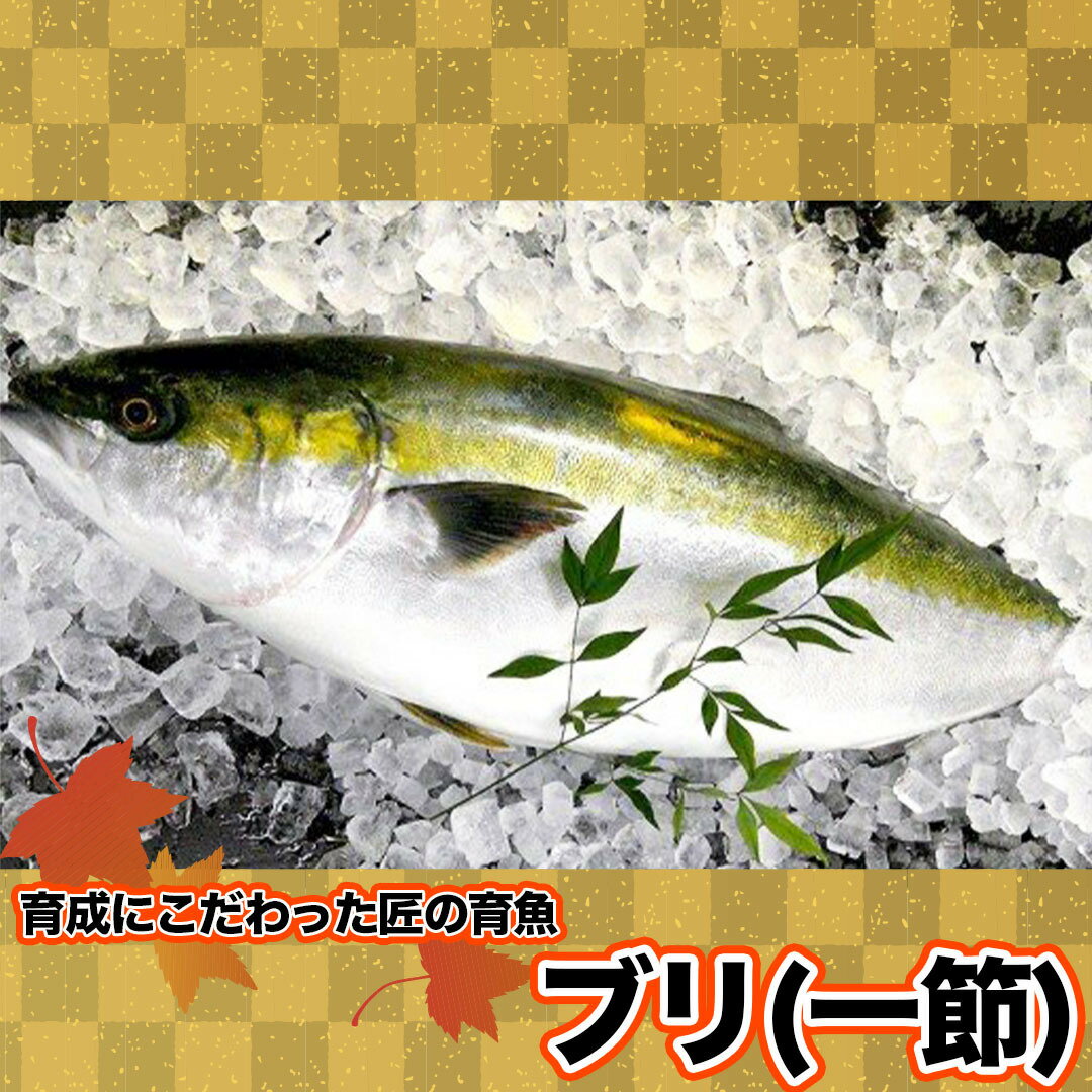 【ふるさと納税】 ブリ 1節 (約5人前) 薬味 醤油付き 