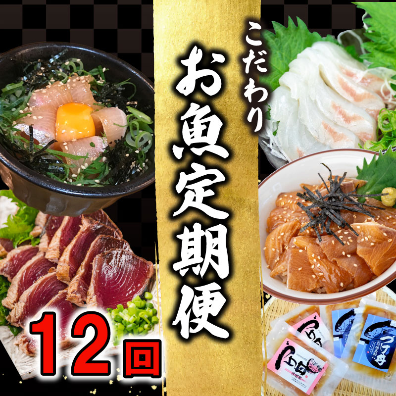  こだわり お魚 定期便 12回 コース かつお かつおのたたき かつおのタタキ 鰹のたたき サバ さば 鯛 たい タイ 勘八 カンパチ 鰤 ブリ ぶり 漬け丼 刺身 高知 須崎 MM5001人気ランキング 食品 魚介類 お楽しみ バラエティ おすすめ 12ヶ月